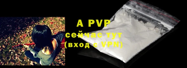 спиды Осинники