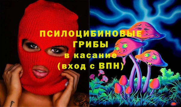 ПСИЛОЦИБИНОВЫЕ ГРИБЫ Осташков