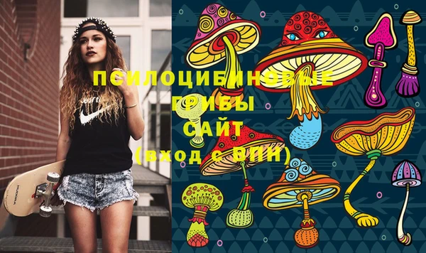 ПСИЛОЦИБИНОВЫЕ ГРИБЫ Осташков
