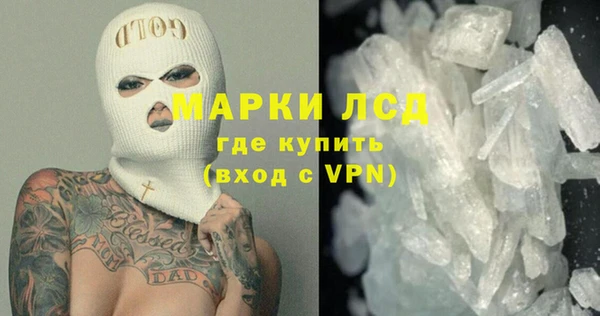 ПСИЛОЦИБИНОВЫЕ ГРИБЫ Осташков