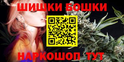 шишки Камышлов