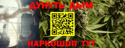 гидропоника Гусиноозёрск