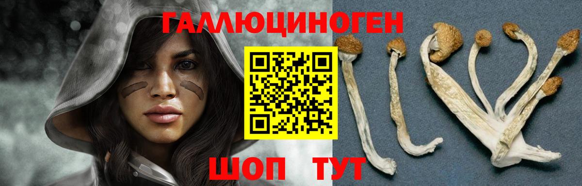 Галлюциногенные грибы мицелий Мичуринск