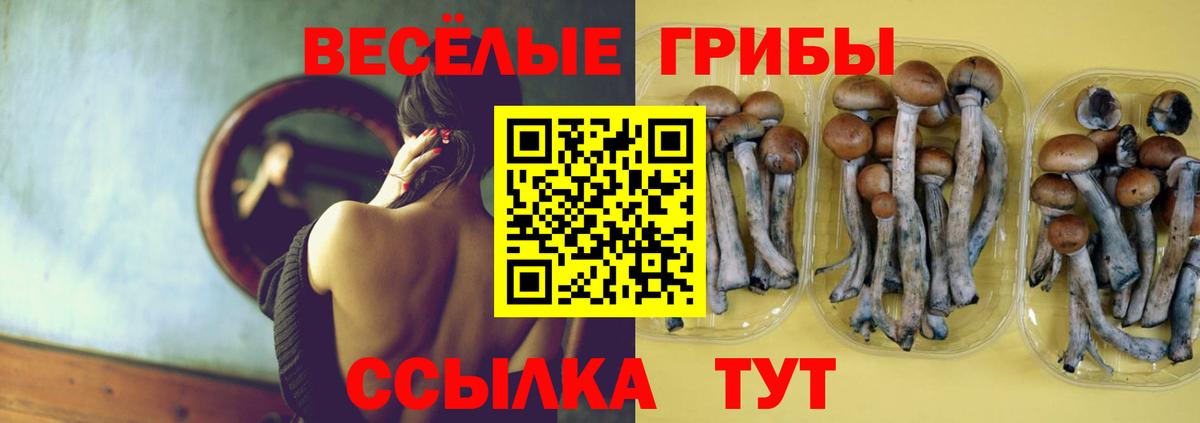 Мичуринск  Псилоцибиновые грибы Magic Shrooms  Вход с VPN  Галлюциногенные грибы Psilocybine cubensis 